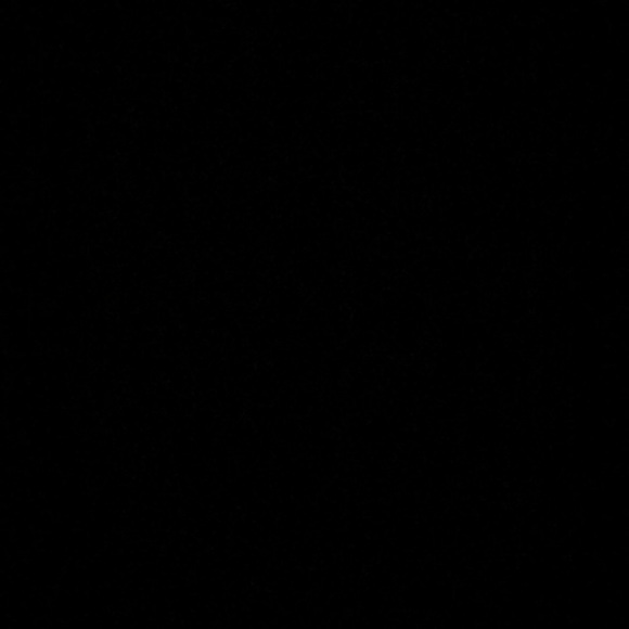 alissadelcampo